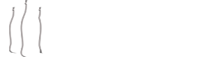 Coca-Cola HBC Logo