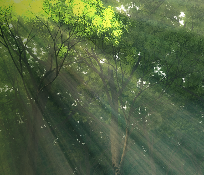 Our sustainable journey