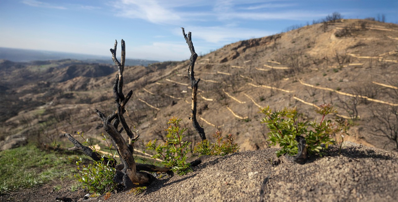 OI TOPOI MAS XANTHI NESTOS VISTONIDAΟΙ ΤΟΠΟΙ ΜΑΣ ΧΑΝΘΗ ΝΕΣΤΟΣ ΒΙΣΤΩΝΙΔΑ 