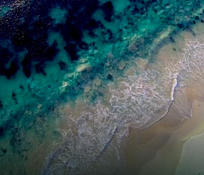 KUKLIKI OIKONOMIA 776 x 664