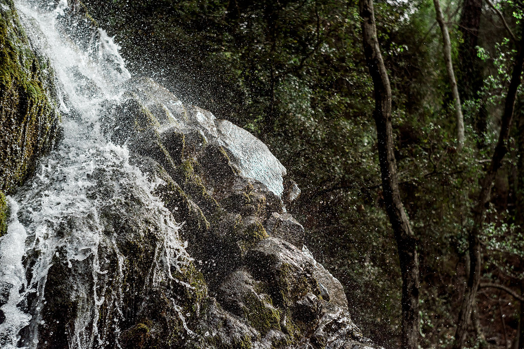 water