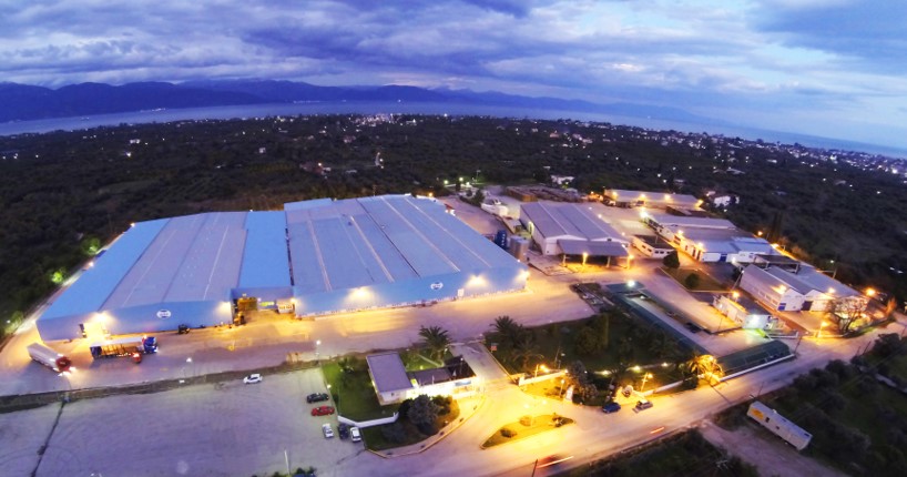 Aeghio plant_night 1