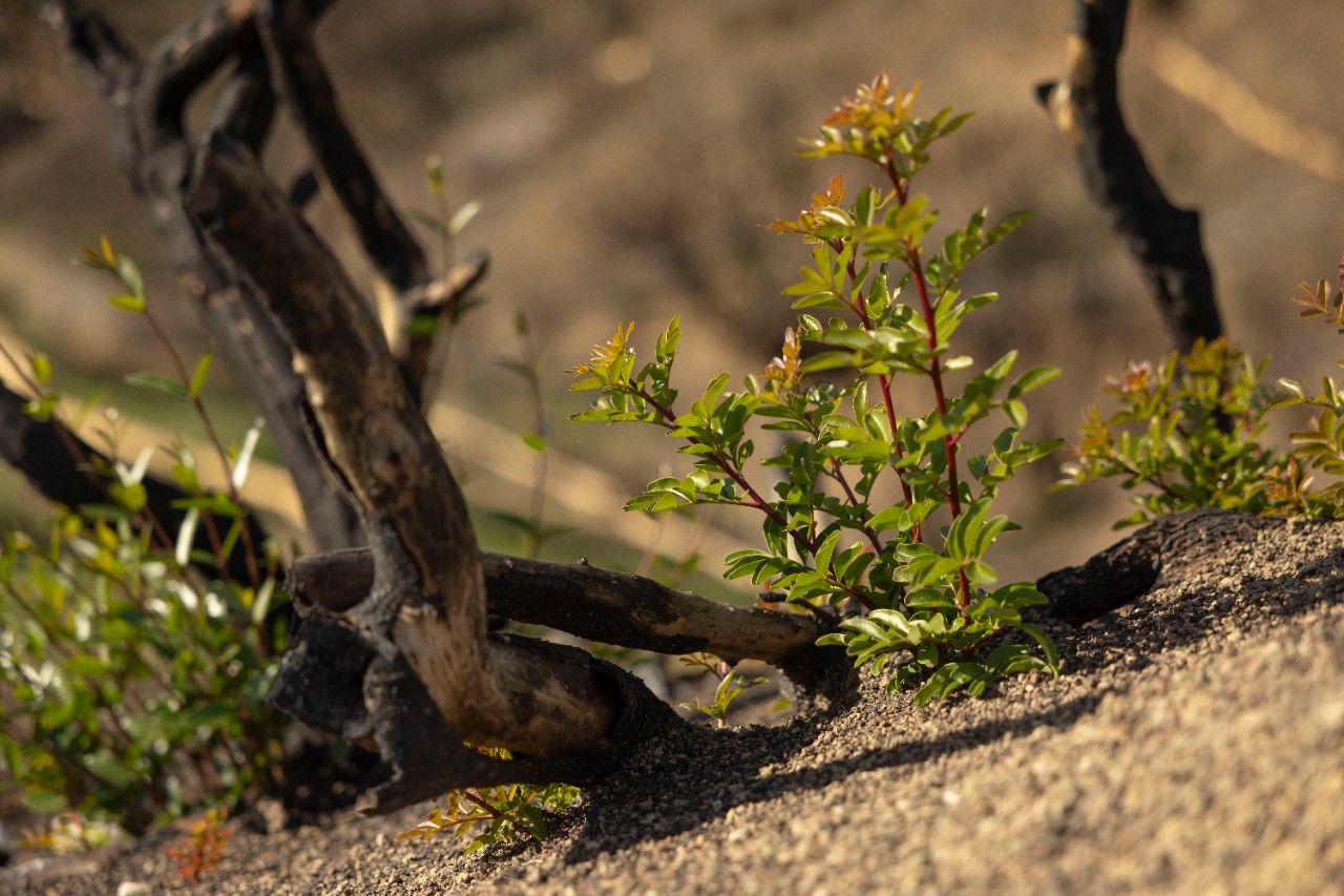 OI TOPOI MAS XANTHI NESTOS VISTONIDAΟΙ ΤΟΠΟΙ ΜΑΣ ΧΑΝΘΗ ΝΕΣΤΟΣ ΒΙΣΤΩΝΙΔΑ 