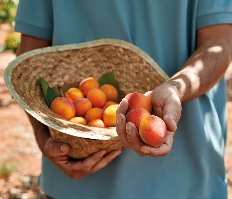 ypeythini-promithia-776x664